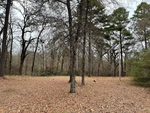 9815 Caddo Lake Rd, Mooringsport, LA 71060