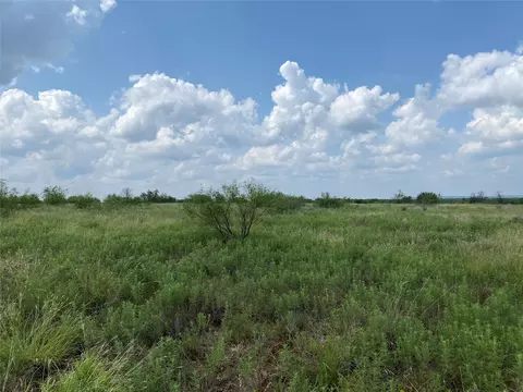 75 Cypress Point Dr, Graford, TX 76449