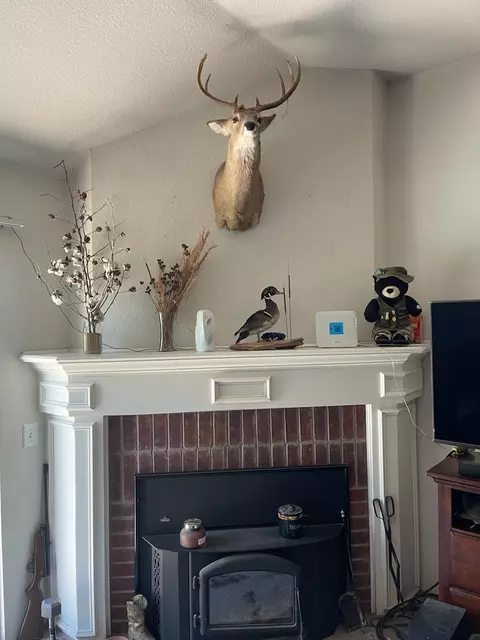 619 Stagecoach Dr, Oak Point, TX 75068
