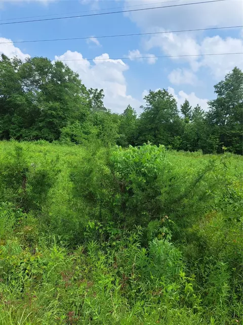 0 Jb Anderson Est, Keithville, LA 71047