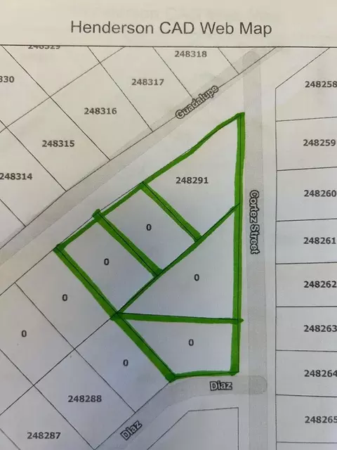 tbd Guadalupe St, Payne Springs, TX 75156