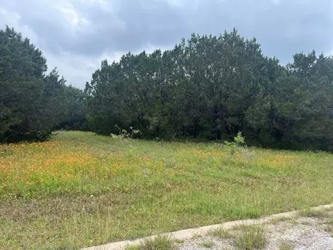 45084 Silver Torch Dr, Whitney, TX 76692