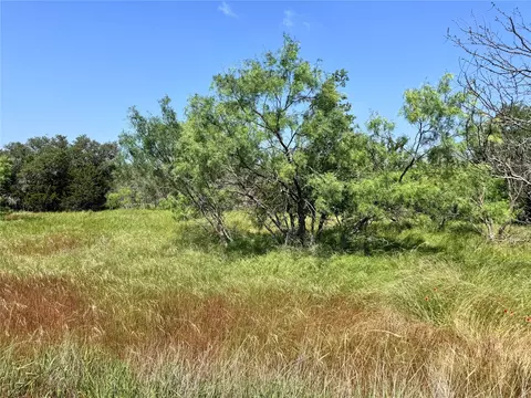 tbd Lot 59 County Road 600, Brownwood, TX 76801