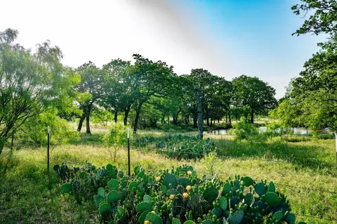 20912 W Fm 1188, Gordon, TX 76453