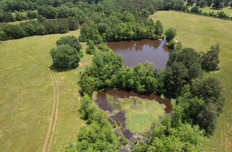 tbd B Cr 4653, Tenaha, TX 75974