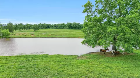 tbd Chickasaw Rd, Colbert, OK 74733 photo 15