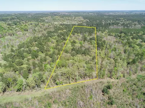 0 County Road 182, Long Branch, TX 75669