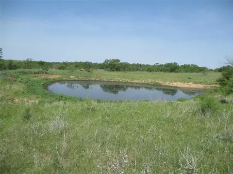 Tr 5 Boren, Ringgold, TX 76241
