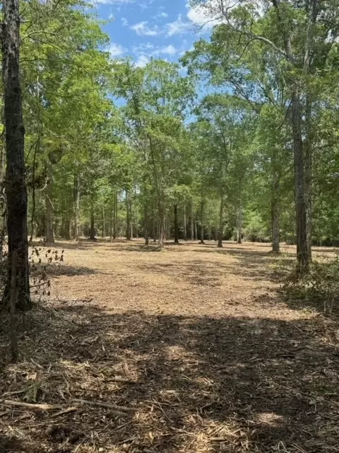 00 Us-190, Livingston, TX 77351