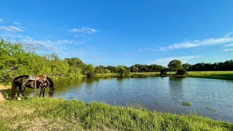 14129 Vitera Sand Rd, Bremond, TX 76629