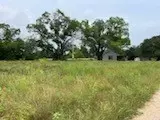 130 County Road 330, Gustine, TX 76455 photo 27