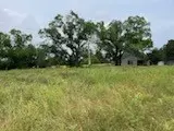 130 County Road 330, Gustine, TX 76455 photo 28