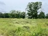 130 County Road 330, Gustine, TX 76455 photo 29