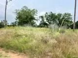 130 County Road 330, Gustine, TX 76455 photo 25