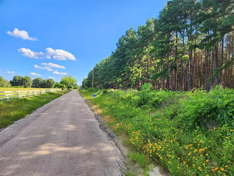 lot459 Cr-4712, Larue, TX 75770