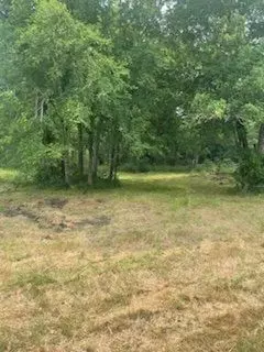 tbd E Main St, Malakoff, TX 75148 photo 3