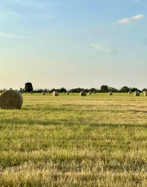 tbd Farm Market 2689, Gorman, TX 76454