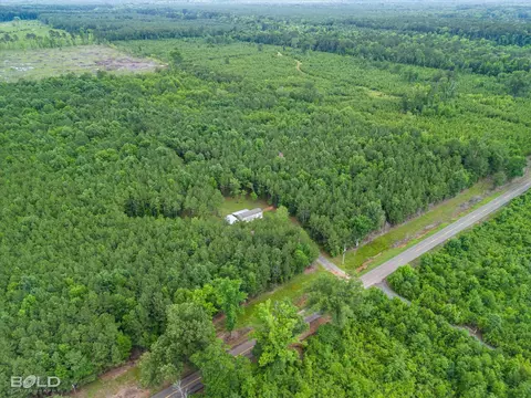 1140 Mott, Plain Dealing, LA 71064 photo 28