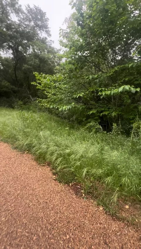 000 Cartwright Dr, Eustace, TX 75124