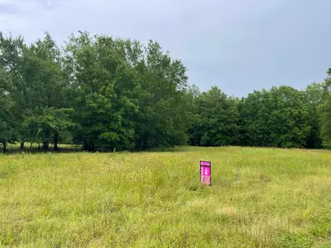 Lot 12 Pr 44005 #12, Blossom, TX 75416