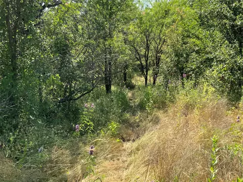 48 Tatanka Trl, Gustine, TX 76455 photo 19