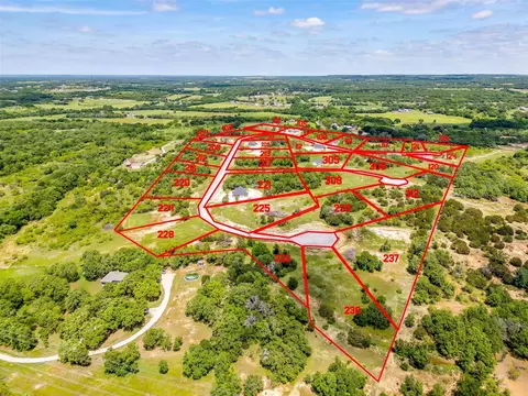 309 Rickys Rd, Peaster, TX 76088