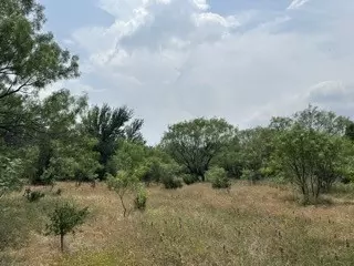 Tbd County Road 203, Santa Anna, TX 76823