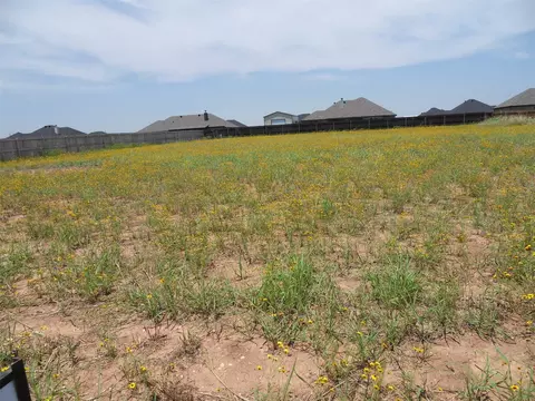 110 Sparrow Hlls Ln, Tuscola, TX 79562