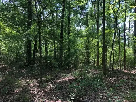 000 Clark, Doyline, LA 71023 photo 3