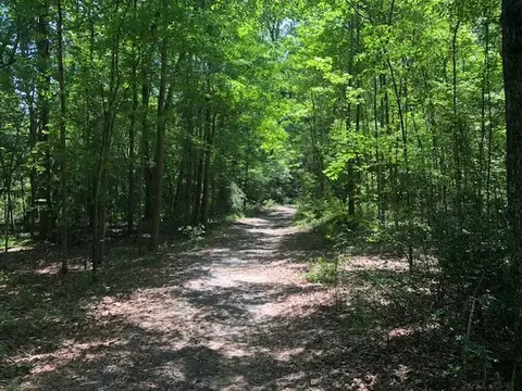 000 Clark, Doyline, LA 71023 photo 6