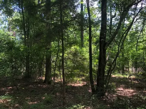 000 Clark, Doyline, LA 71023 photo 5