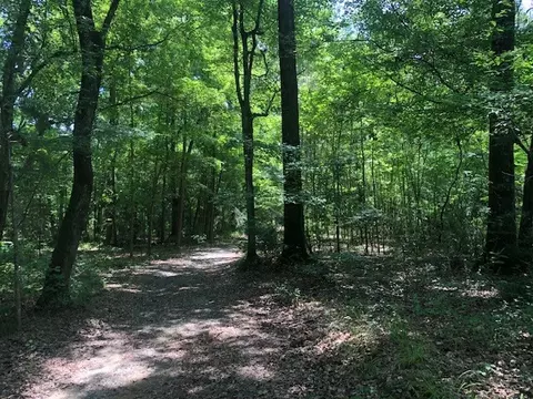 000 Clark, Doyline, LA 71023 photo 4