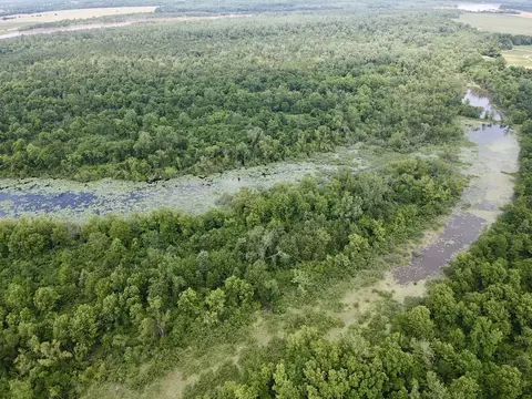 000 County Road 36720, Arthur City, TX 75411