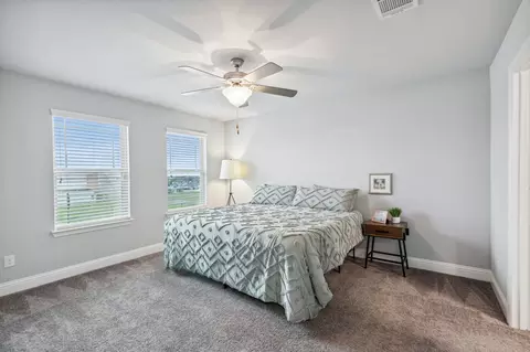 904 Monarch Ln, Celina, TX 75009 photo 25