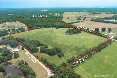 Tbd County Road 2316, Terrell, TX 75160