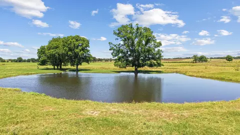 tbd Fm 913 #10, Stephenville, TX 76401