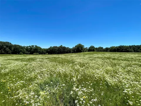 tbd fm-1567, Como, TX 75431 photo 7