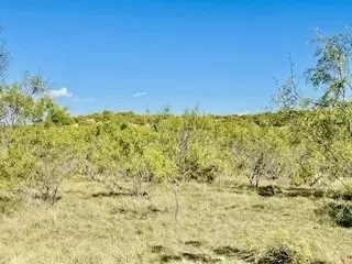 1089 Tennyson Rd, Bronte, TX 76933 photo 38