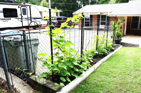 1303 Mark Dr, Minden, LA 71055 photo 20