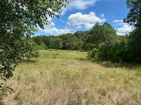 Tbd 20.68 Ac Hwy 80, Grand Saline, TX 75140