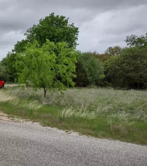 6027 Wildwood Dr, Whitney, TX 76692