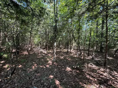 Tbd Denise Street, Blossom, TX 75416