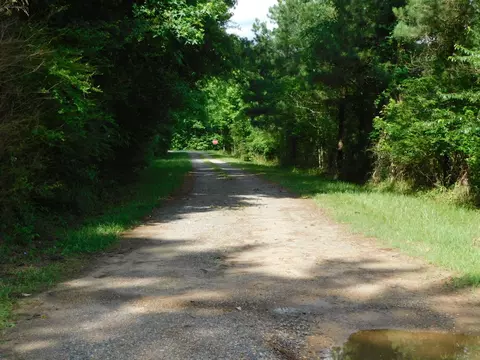 155 Clearmeadow Rd, Minden, LA 71055 photo 2