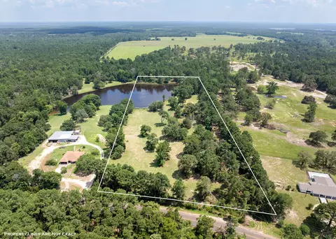 6007 W Fm 227, Grapeland, TX 75844