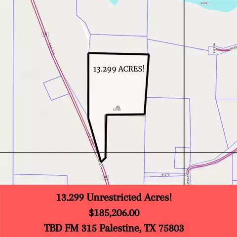 Tbd Fm 315, Palestine, TX 75803