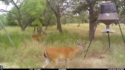 1002 Fm-1852, Eastland, TX 76448