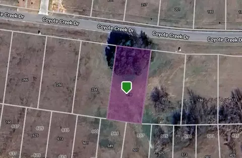 218 Coyote Creek Dr, Gordonville, TX 76245