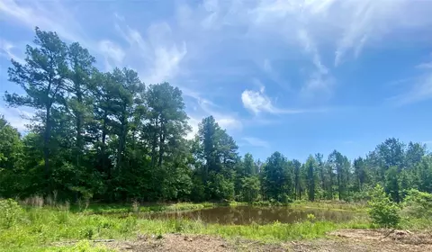 tbd County Road 374 - T4, Gladewater, TX 75647