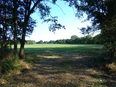 tbd County Road 2353 And 2384, Bagwell, TX 75412