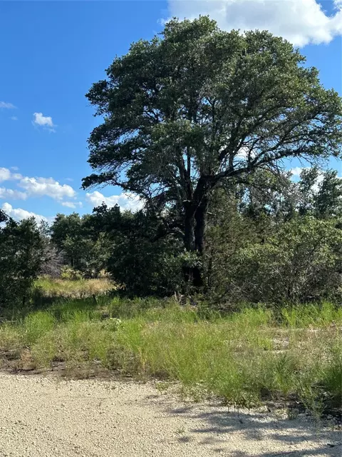 560 Majestic Shrs, Bluff Dale, TX 76433
